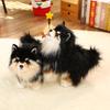 35cm Lifelike Pomeranian Dog Plush Toy Simulation Puppy Doll Soft and Cute Pet Pillow Children's Gift Birthday