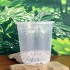Clear Orchid Flower Pot - High Transparency, Thickened, Breathable for Dendrobium, Succulents, Roses, Phalaenopsis
