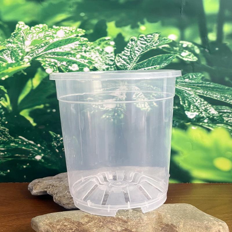 Clear Orchid Flower Pot - High Transparency, Thickened, Breathable for Dendrobium, Succulents, Roses, Phalaenopsis