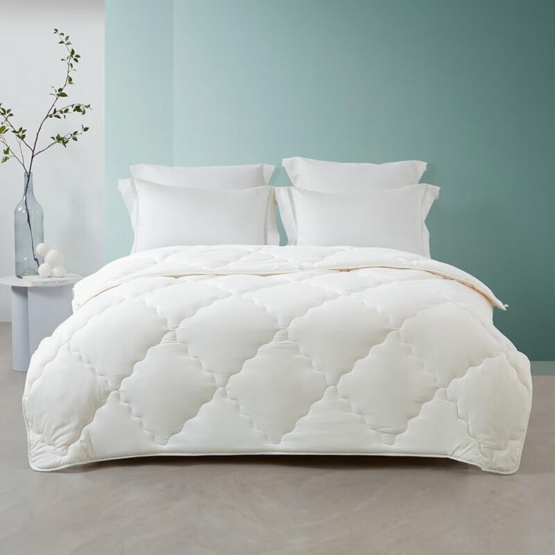 Mengjie All-Season Blended Quilt