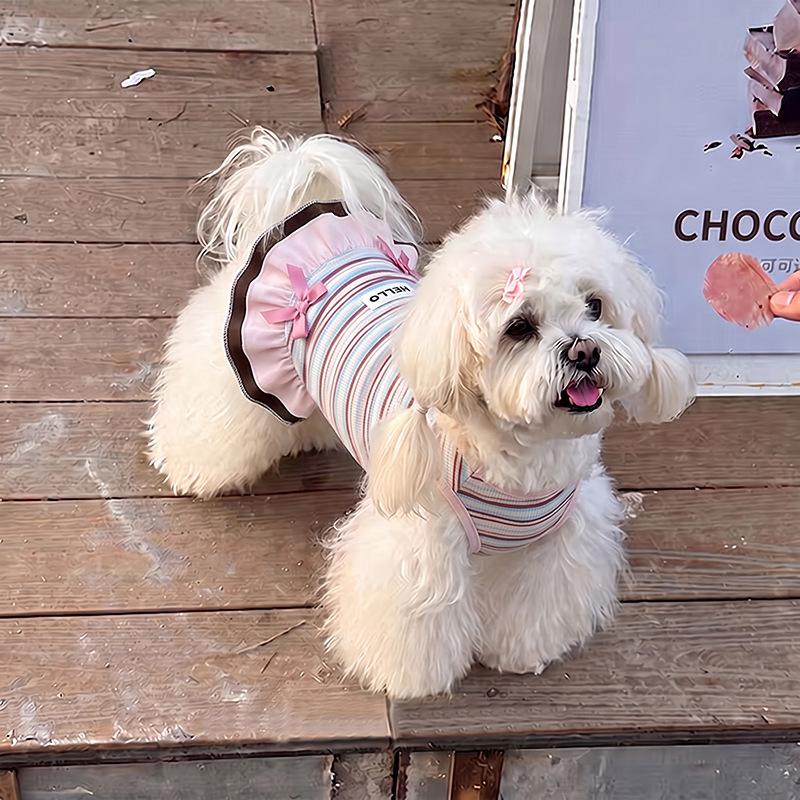 Dog clothes Autumn and winter rainbow striped dress Bigbear cat teddy Pomeranian small dog velvet pet vest