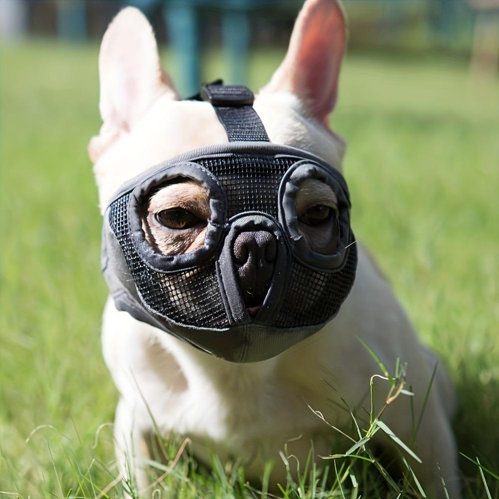 1pc Short-Snouted Dog Muzzle, Anti-Bite Anti-Chew Anti-Bark Adjustable Breathable Pet Mask