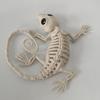 Halloween Decoration Mini Skeleton Bone Statues Poseable Rat Dog Spider Cat Owl Skeleton Figurine for Haunted House Party Decor