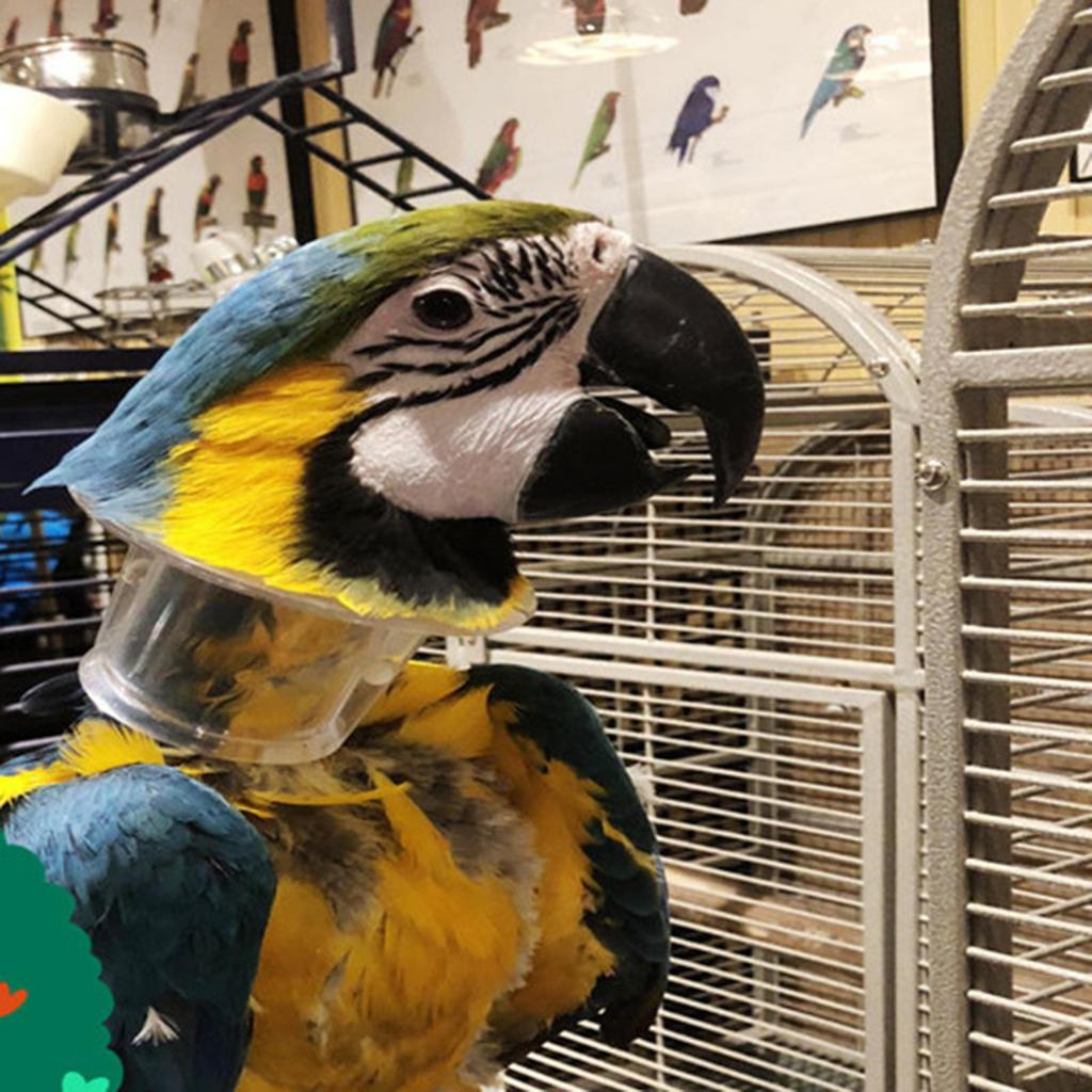 Bird Parrot Protection Bead, Anti-Grab Feather, for Wound , Safety, Practical Neck Cover, Protective