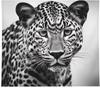 Wild Chic Living Room Tapestry Black White Leopard Print for Bold Statement Feature Wall Decor