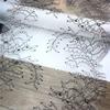 3m x 23.5cm French Chantilly Lace, Non-stretch Eyelash Mesh Lace Trim for Bra, Underwear, Lingerie, Dress, Garment, Sewing & Crafting