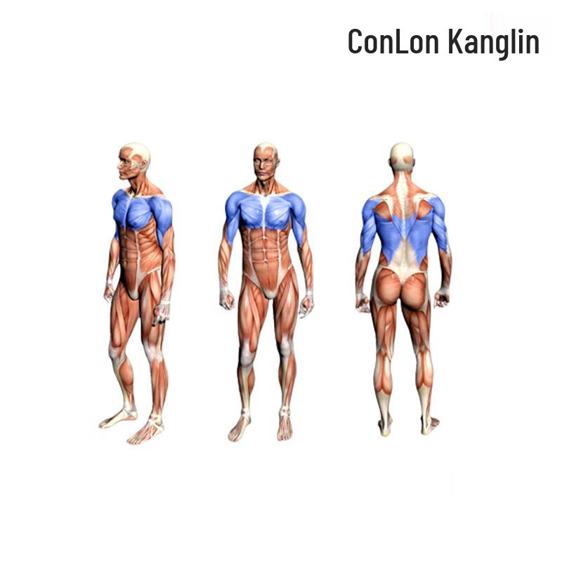 Kanglin GS302 Seated Chest Press Machine