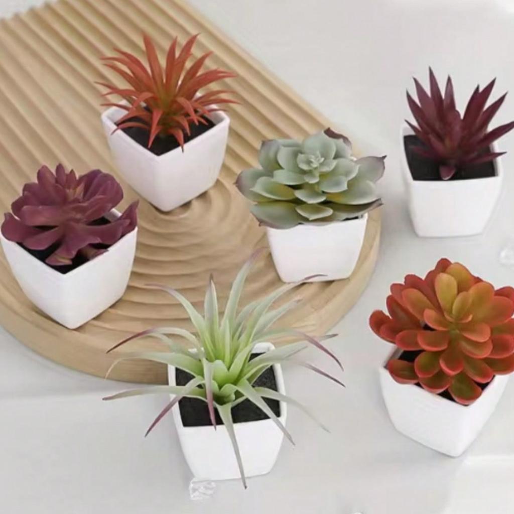 6-teilige Heimdeko künstliche Sukkulentenpflanzen, Schreibtisch-, Fenster- und Bücherregaldekorationen, Mini-Topfpflanzen