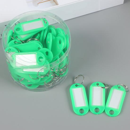 50Pcs Keyring Tags Plastic Key Fobs ID Tags with Split Keyring Paper Insert Key Tags Writing Paper Keychain Organizer
