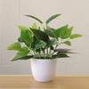 Useful Gadgets Foliage Plant Potted Bonsai Wedding Party Mall Desktop Adorn