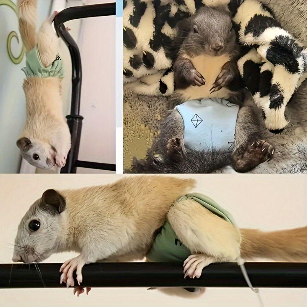Absorbent Squirrel Diapers Flexible Closure Squirrel Underwear For Guinea Pigs, Squirrels