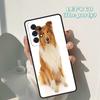 Beautiful Fun Border Collie Dog Puppies Case For Samsung Galaxy A42 A31 A40 A51 A71 A32 A80 A91 A52 A72 A73 A20e A50 A70 A11 A12