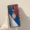 Cool Serbia Flag Cover For Samsung Galaxy J4 J6 Plus 2018 A6 A7 A8 A9 J8 J1 2016 A3 A5 J3 J7 J5 2017 Case