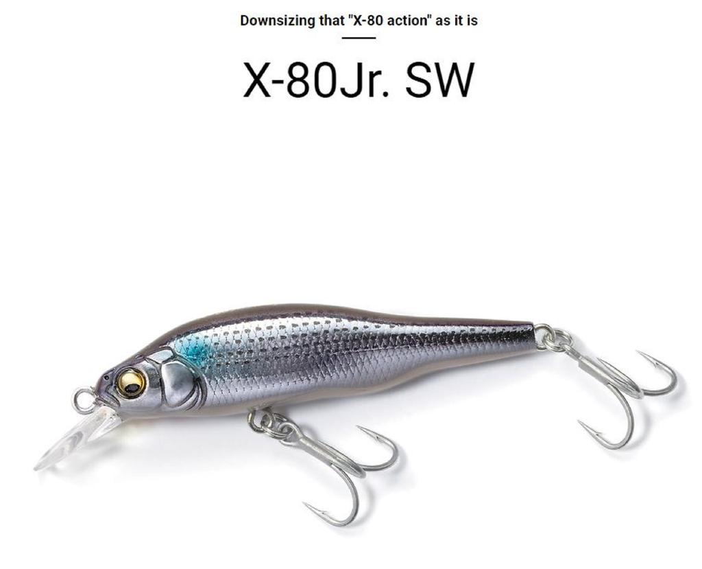 Megabass X-80 JR SW Slow Sinking Lure GG Heat Iwashi (1713)