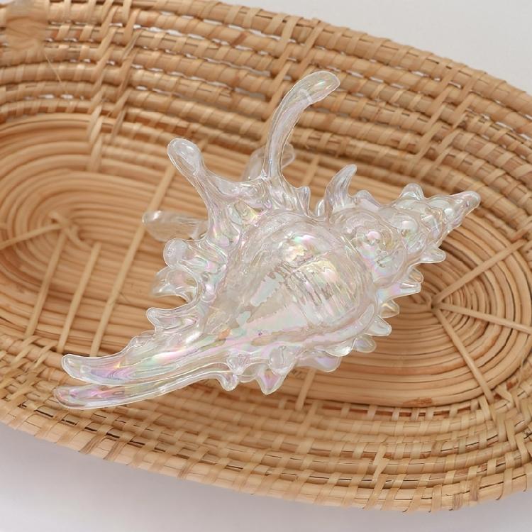 Vibranting Acrylic Conch Hair Claw Clip Sturdy Hair Clasp for Women Multiple Shades Available