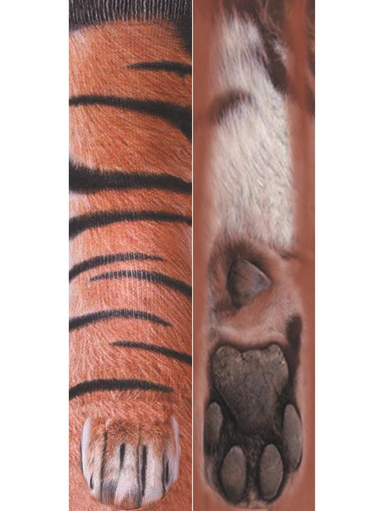 3D Animal Paw Mid-Calf Socks - Cartoon Print, Fun Hoof Design for Adults, Cat & Dog Styles