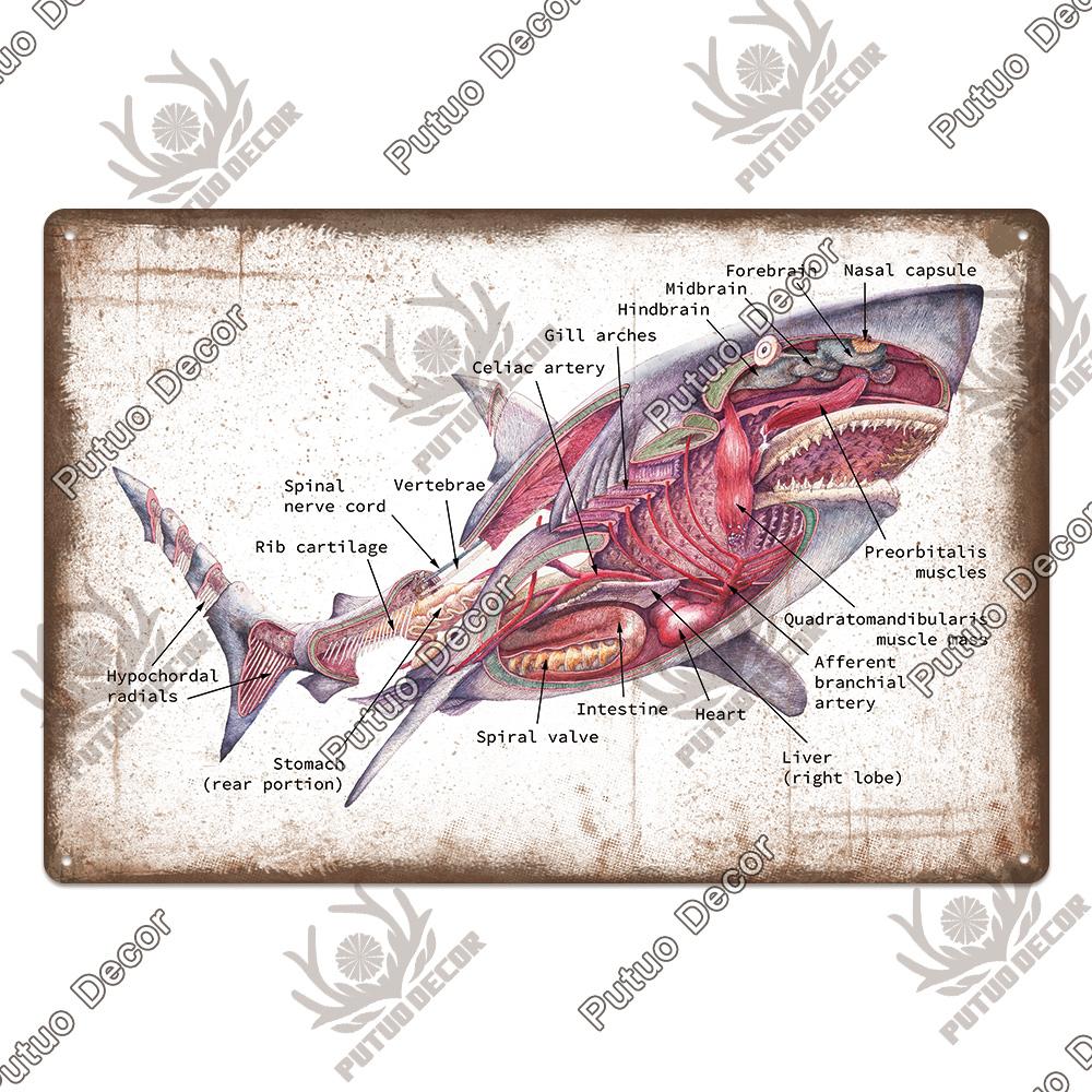 Putuo Decor Shark Sign Metal Signs Vintage Tin Sign Funny Warning Movie Poster for Bar Pub Kitchen Club Man Cave Wall Decoration