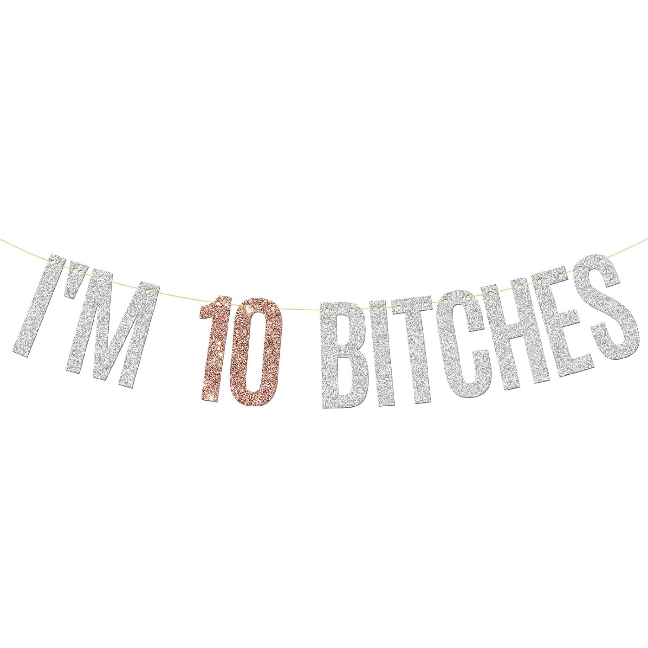 Glitter I m 10 Bitches Banner Happy 10th Birthday Banner Funny 10th Anniversary Girl s Ten Birthday Party Decorations Silver & Rose Gold 10 Silver