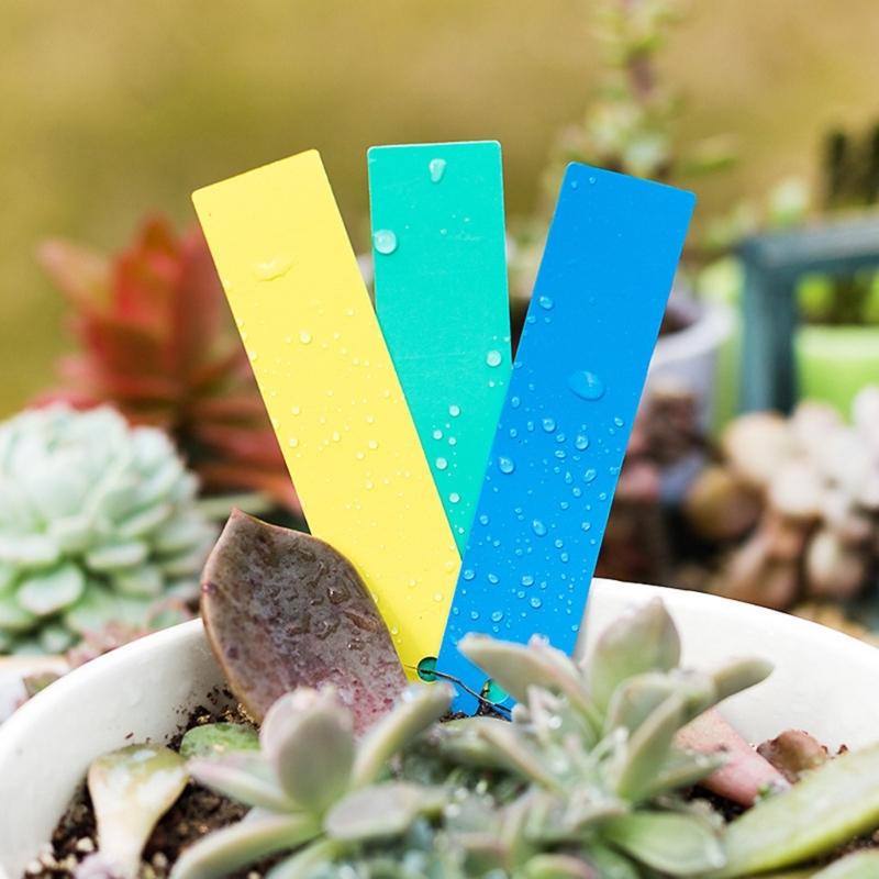 100Pcs Plant Labels for Outdoor Plant Plastic Plant Labels Markers & Labels Plant Labels for Garden  Potted