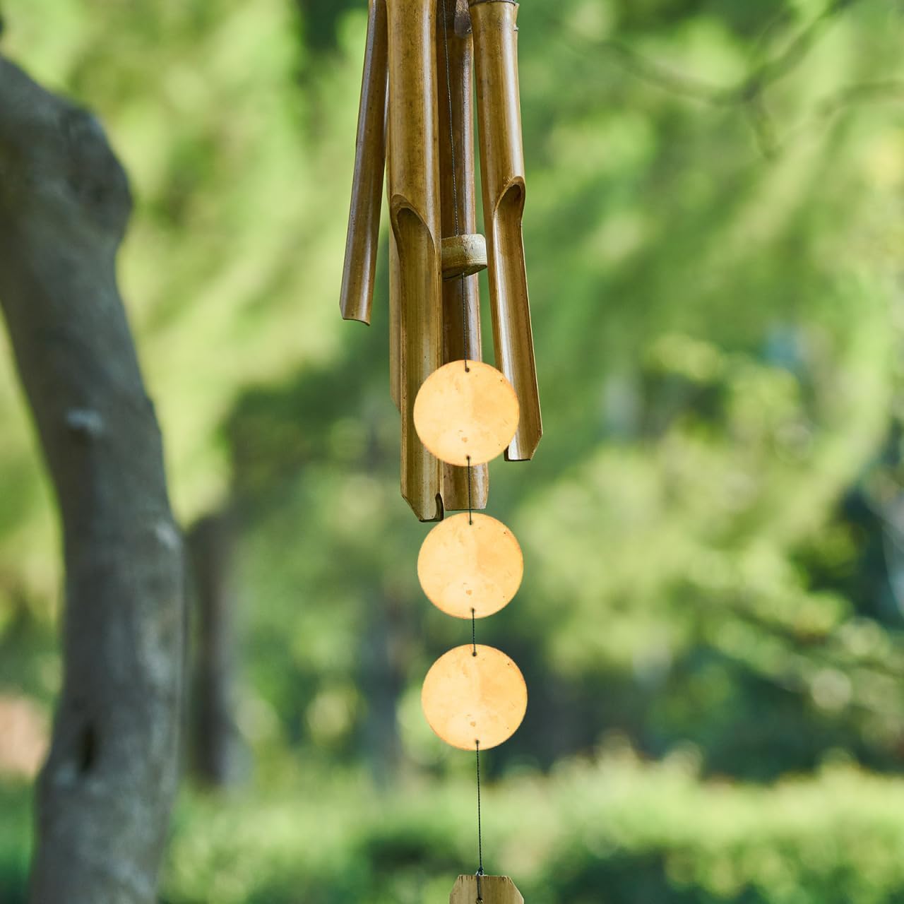 

ARTIBETTER 100pcs Round Capiz Shell for Wind Chimes Jewelry Making Capiz Sea Shells with Two Holes Mussel Shell Drop Charm Beads (Orange)