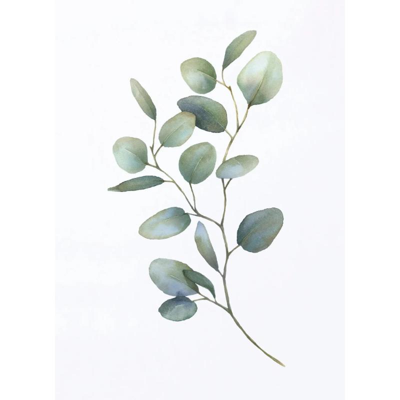 Akwarelowe Plakaty Liściowo Zielone Botaniczne Wydruki Eukaliptusa Obraz na Płótnie Sztuka Ścienna Obrazy do Salonu Dekoracja Domu