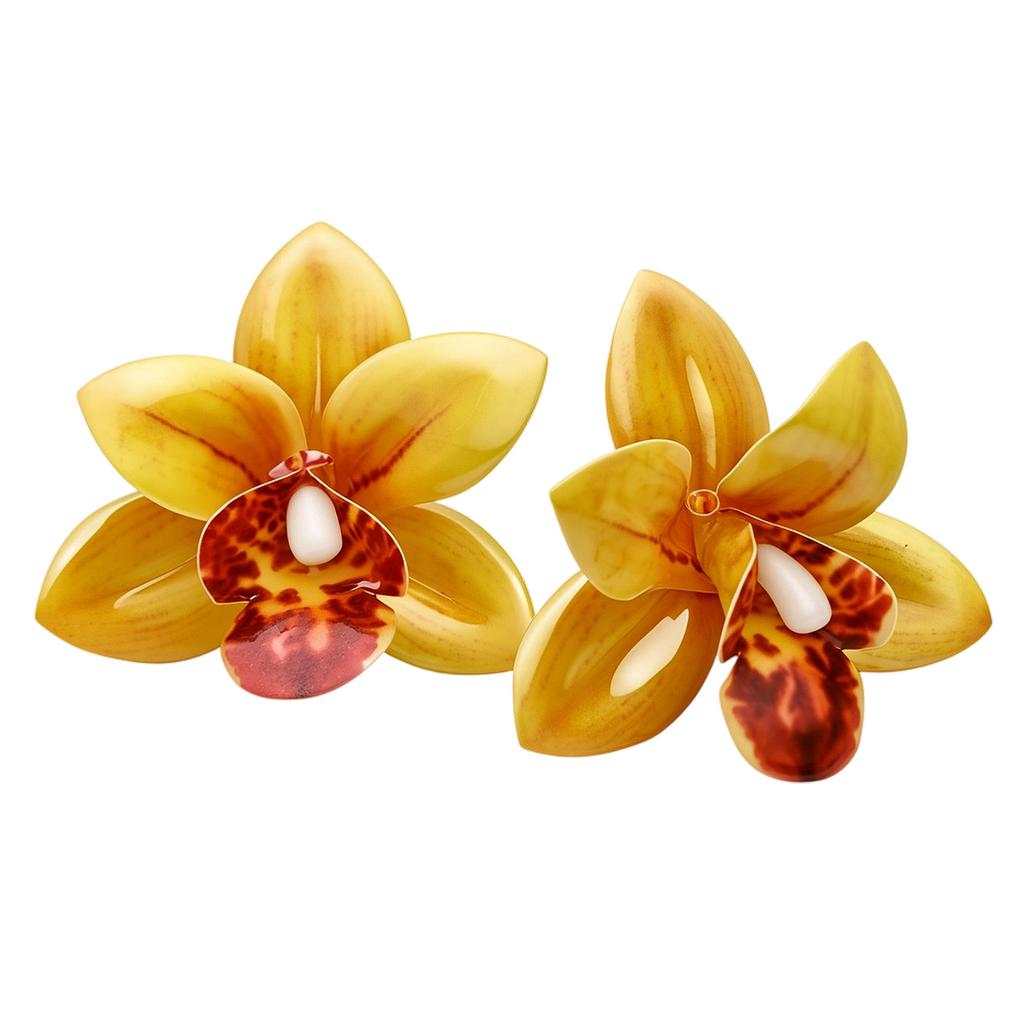Fashion Drop Earrings For Women's Jewelry