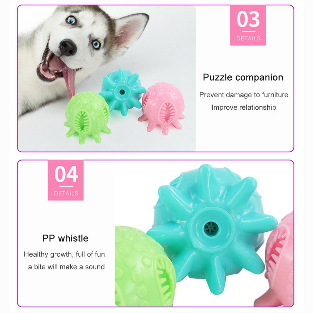 dog bite toy