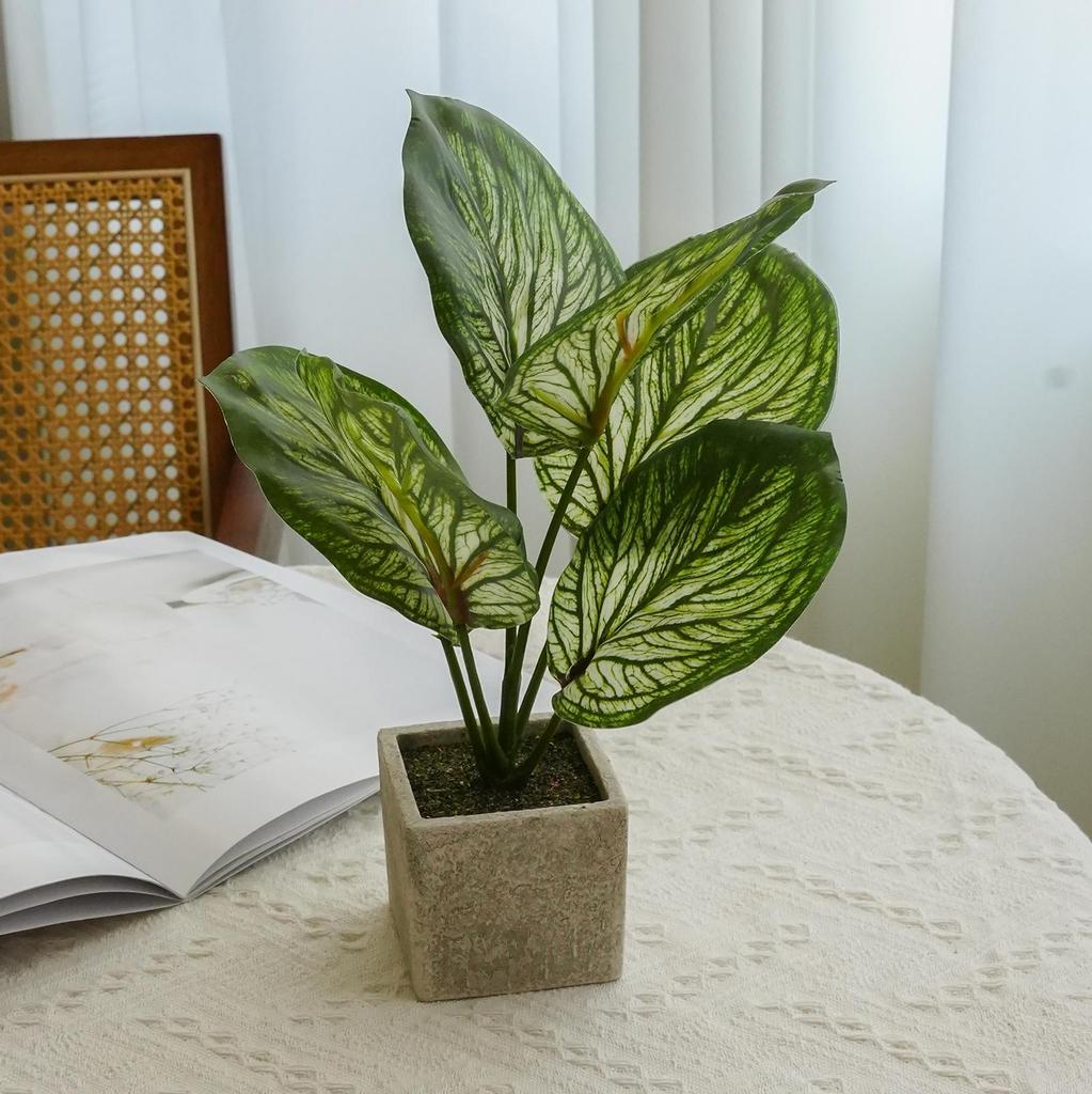 Artificial Turtle Back & Caladium Leaf Plants - Small Potted Decorations for Office, Living Room, or Coffee Table