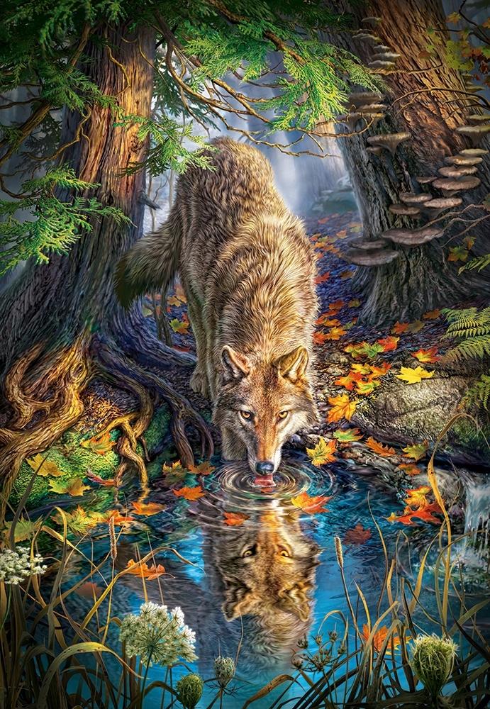 Puzzle 1500 pieces C-151707-2 Wolf in the Wild