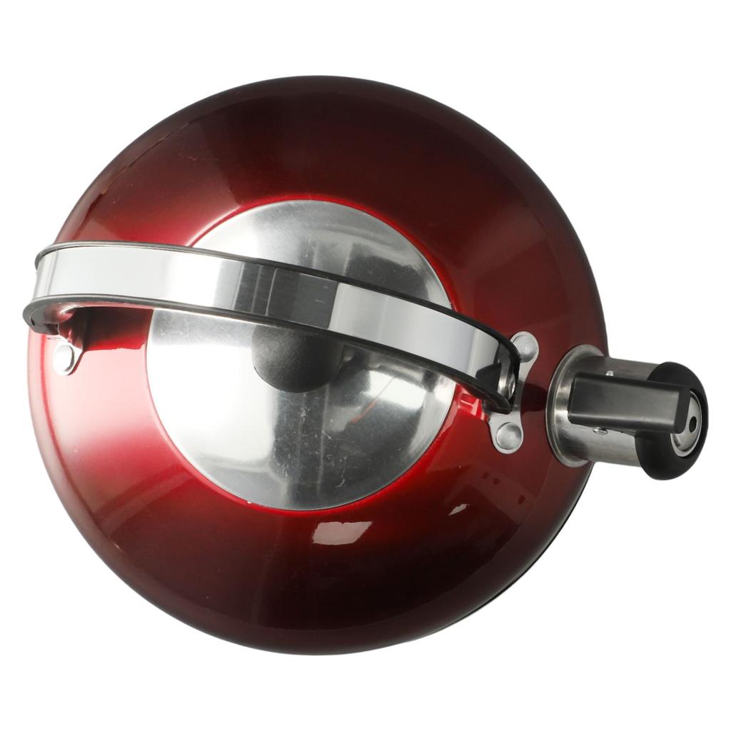 Stylish Whistling Kettle 3L Stainless Steel for Gas Electric Induction
