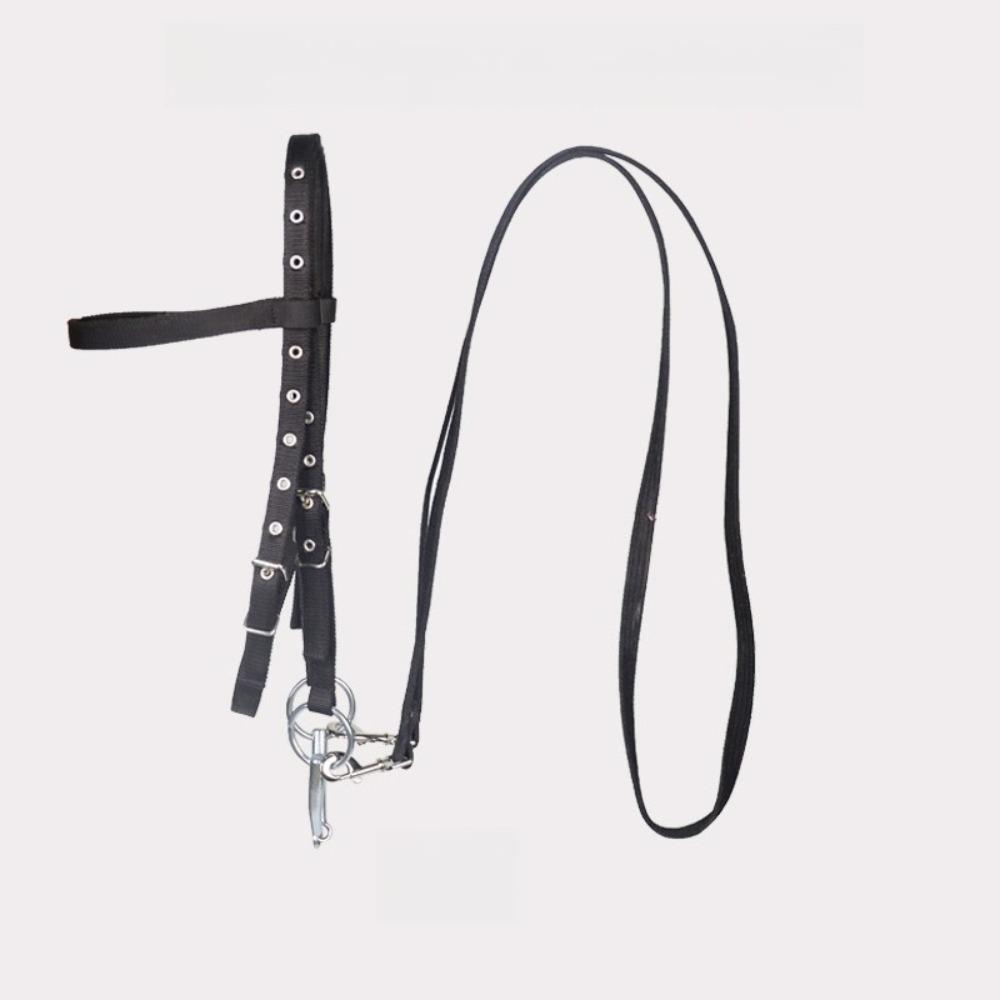 Standard Thread Plate Riding Bridle Reins Suitable for Horses and Ponies