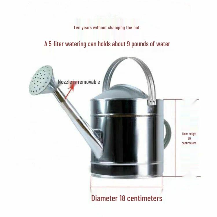 Stainless Steel Large Capacity Watering Can with Movable Handle and Sprayer
