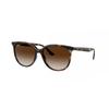 Ochelari de soare Ray Ban Rb4378f Asian Fit 710 13 pentru femei