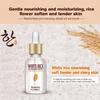White Rice Face Care Essence Natural Organic Reducing Wrinkles Desalination Dark Spot Repair Essence Cream
