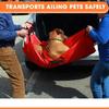 Pet Transport Stretcher Carrier Comfortable Easy To Use Cat Emergency Support for