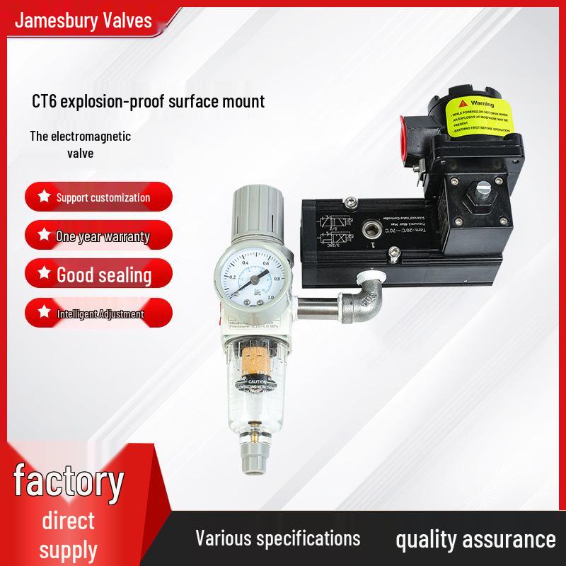 

CT6 Explosion-Proof High-Pressure Solenoid Valve with Self-Holding and Temperature Versatility