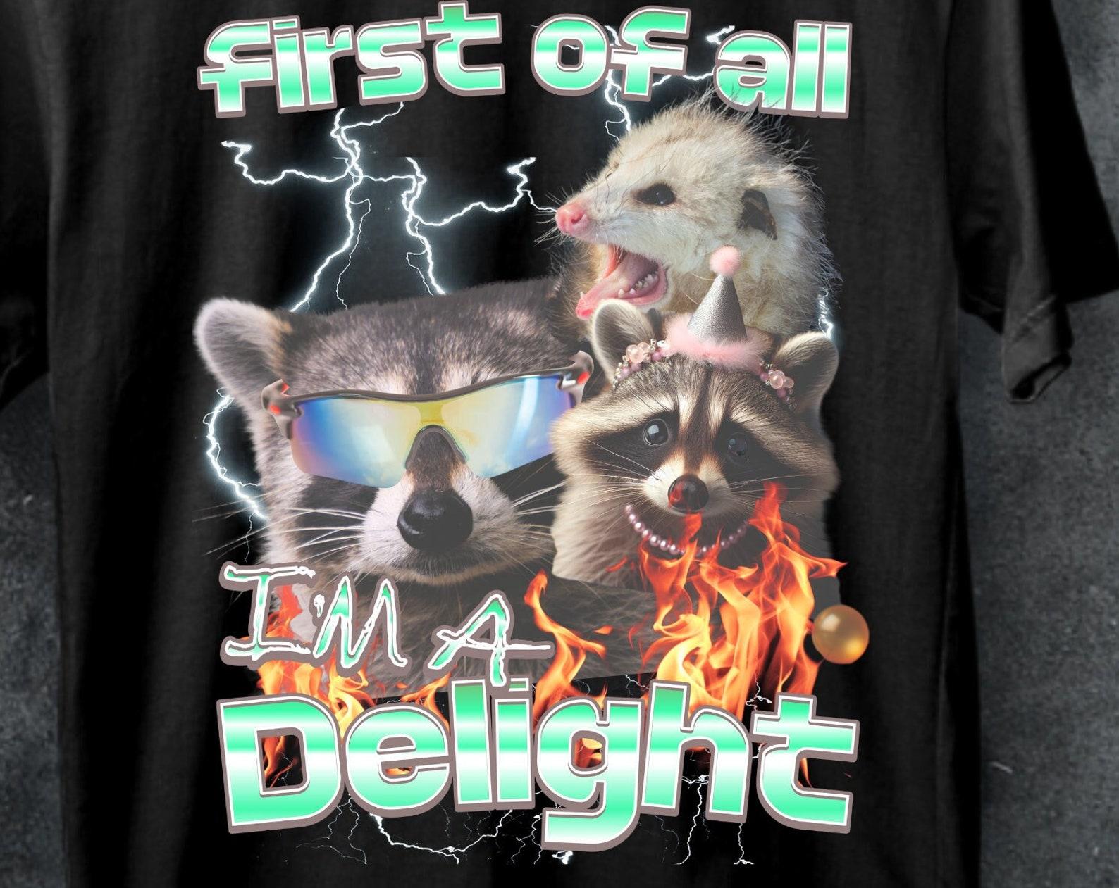 Funny Opossum Tee, First of All I m A Delight Sarcastic Shirt L