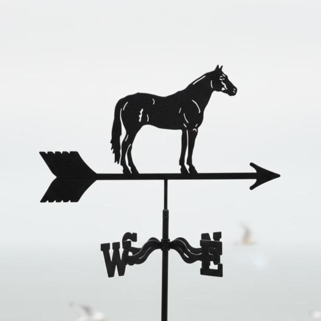 Metal Weather Vane Spray Painted Finish Wind Direction Indicator European Style Garden for