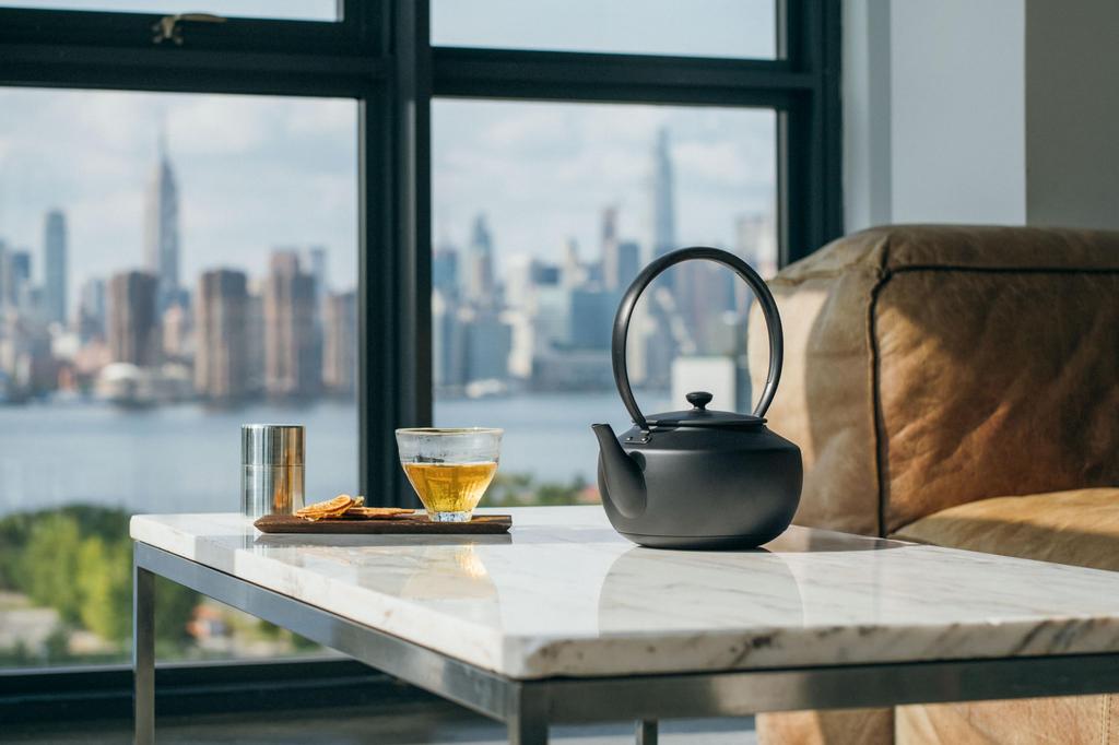 MoonKettle | Electric Kettle with Temperature Control, Black, BALMUDA Moon Kettle KPT02JP-BK, Released November 2012, Gift Available