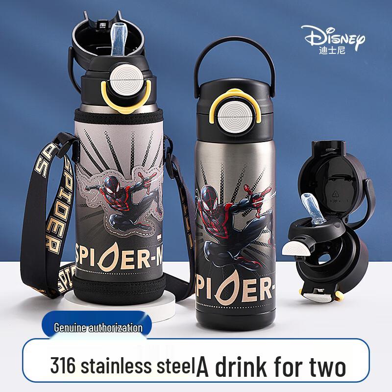 Disney Kids  316 Stainless Steel Dual-Drink Insulated Water Bottle