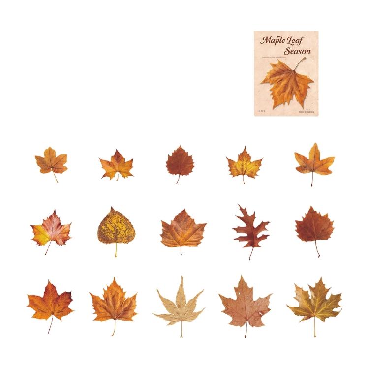 

Leaf Inspired Sticker Waterproof Adhesive PET Sticker for Journal Notebook Phone Scrapbooking Decoration Supplies