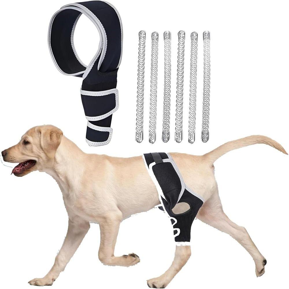 Durable Leg Support Bracket Adjustable Pet Knee Wound Protection  for Hind and Front Legs