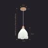 Modern Decor LED Chandeliers Semicircular Creative Pendant LightsFor/Restaurant/Bar/Clothing/Store/Home Lighting Decor Fixtures