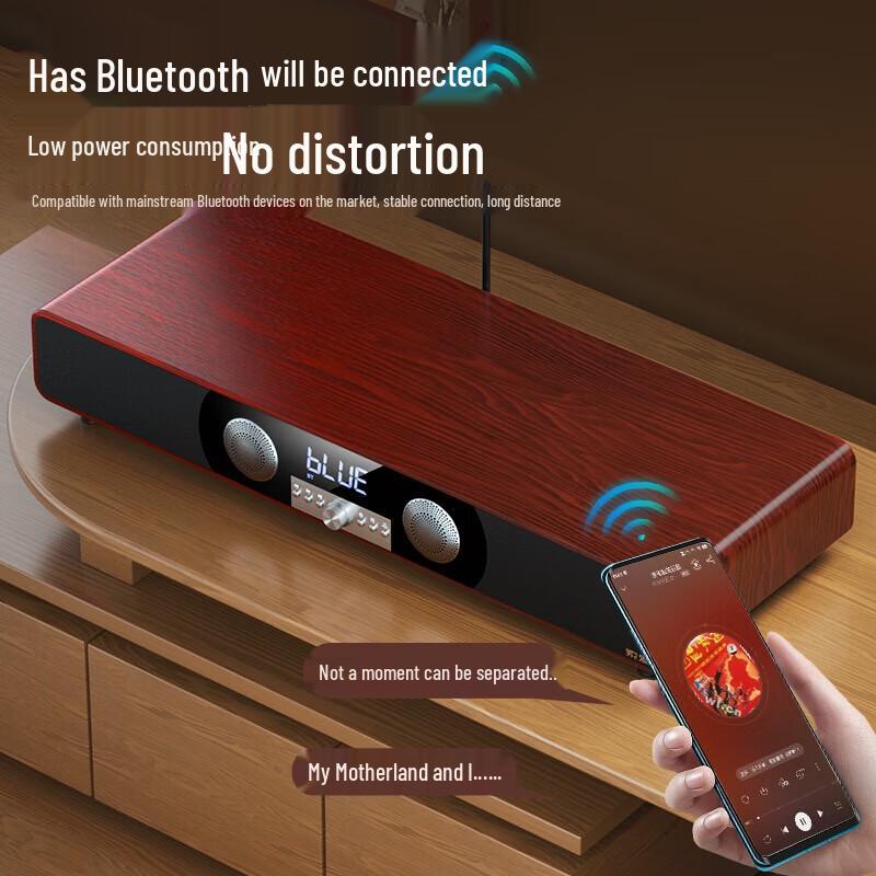 Soaiy SA-205 Home KTV Bluetooth Audio System