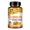 Cordyceps-Extrakt Pilzkapseln, hohe Konzentration an Cordyceps-Essenz, sanft und leicht absorbierbar, für Erwachsene geeignet.