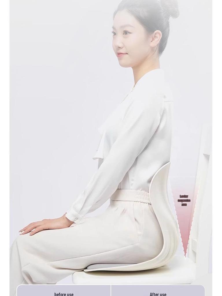 Ergonomic Lumbar Support Seat Cushion for Long Sitting - Adult Chair Backrest & Waist Support.