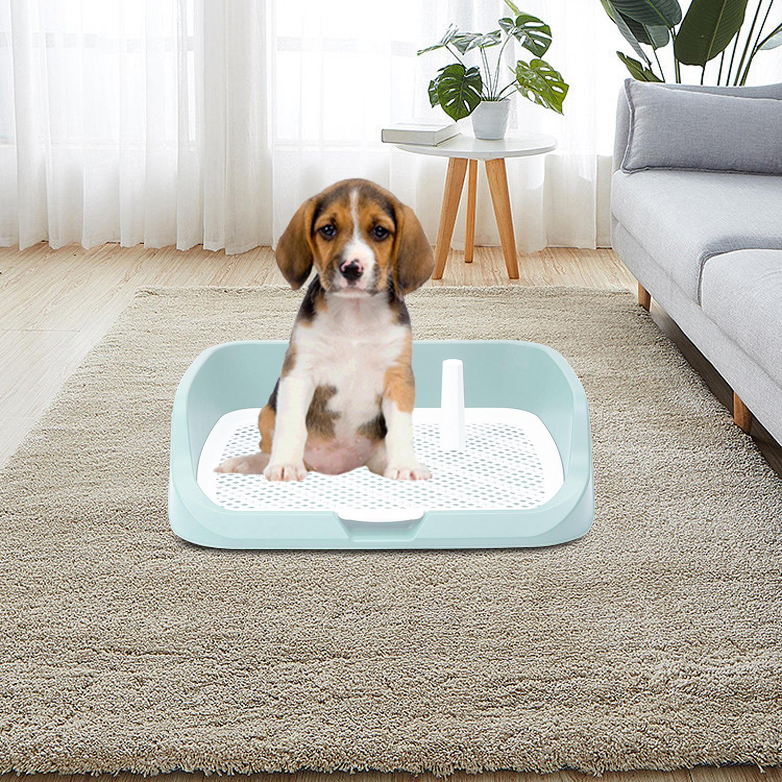 Convenient and Portable Dog Potty Tray