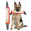 Dog Molar Toy with 2 Handles Tossing Teething Game Toy Reflective Pillow
