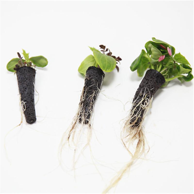 50/100pcs Plant Grow Basket For Aerogarden Plant Hydroponics Soilless Grow Sponges Seed Pods Garden Plant Basket Kit Set