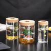 Eco-Bottle Hydroponic Glass Vase for Water Culture Micro-Landscape